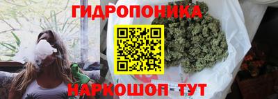 амф Усть-Джегута