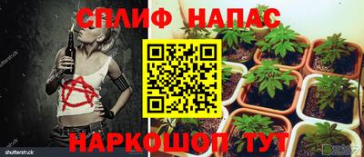 амф Усть-Джегута