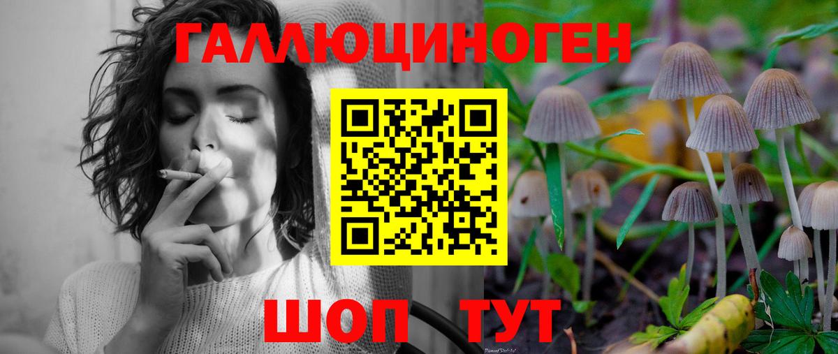 Новосибирск  Галлюциногенные грибы Psilocybe  Вход с VPN  Галлюциногенные грибы мухоморы 