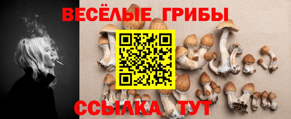Галлюциногенные грибы MAGIC MUSHROOMS Новосибирск